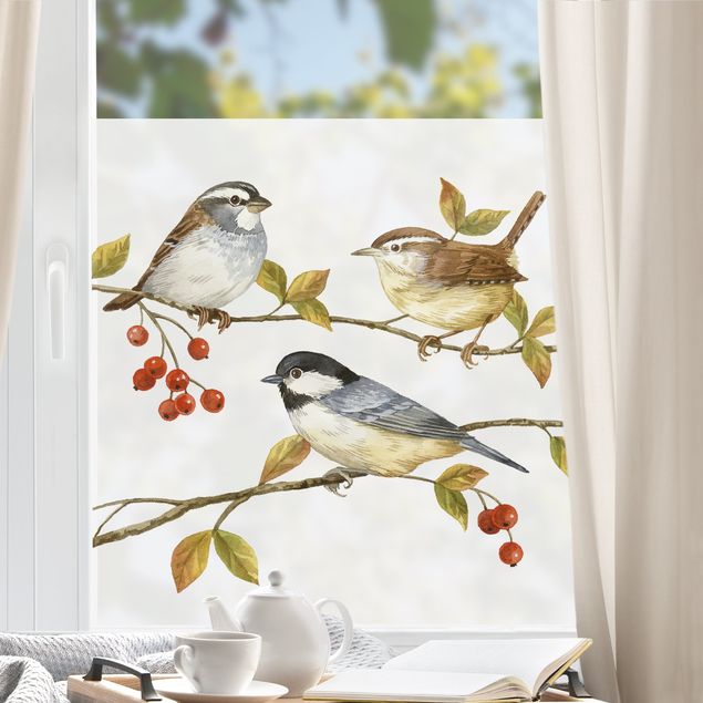 bunte Fensterfolie Vögel und Beeren - Meisen
