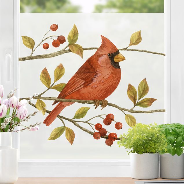 bunte Fensterfolie Vögel und Beeren - Rotkardinal