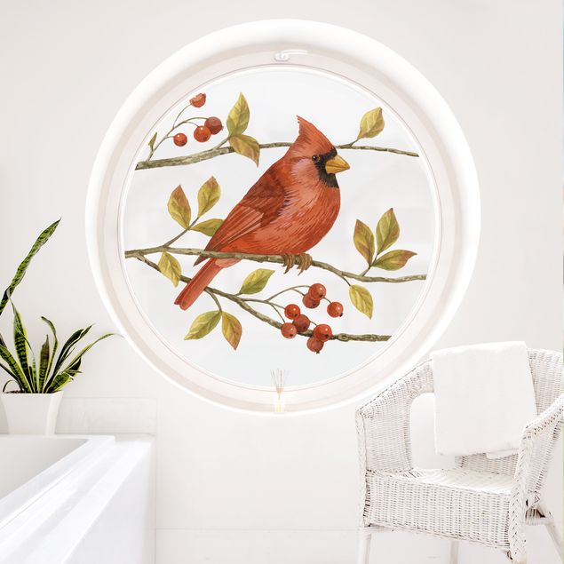 Klebefolie Fenster Vögel und Beeren - Rotkardinal