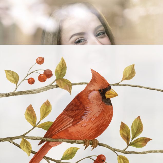 Fensterfolie - Sichtschutz - Vögel und Beeren - Rotkardinal - Fensterbilder