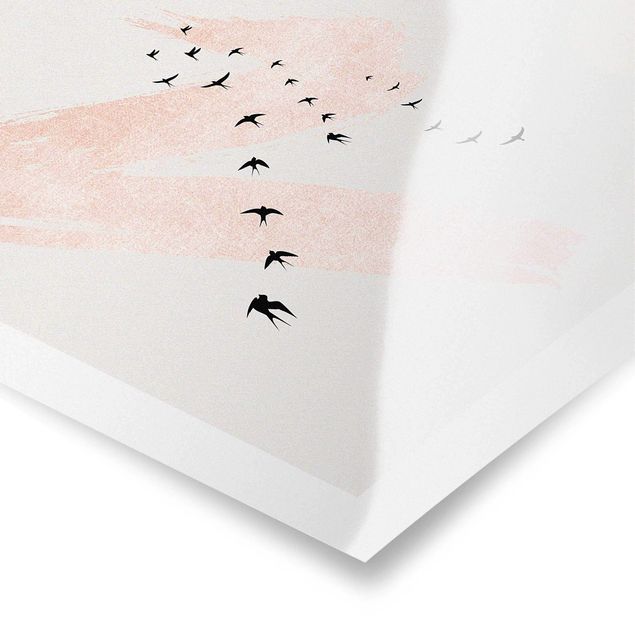 Poster bestellen Vogelschwarm vor Rosa Himmel