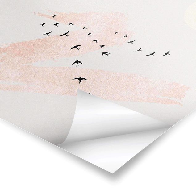 Poster - Vogelschwarm vor Rosa Himmel - Quadrat 1:1