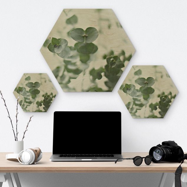 Hexagon Bild Holz - Wachsende Eukalyptuszweige