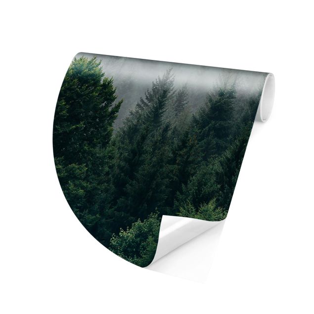 Runde Tapete selbstklebend - Wald im Nebel Dämmerung
