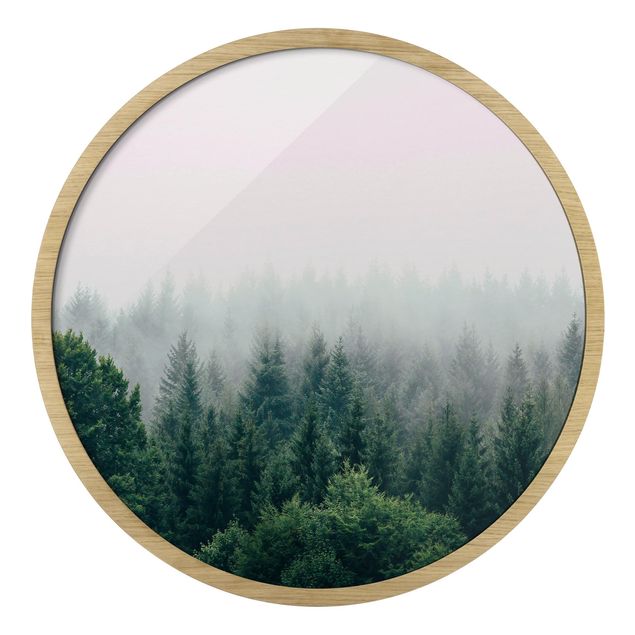 schöne Bilder Wald im Nebel Dämmerung
