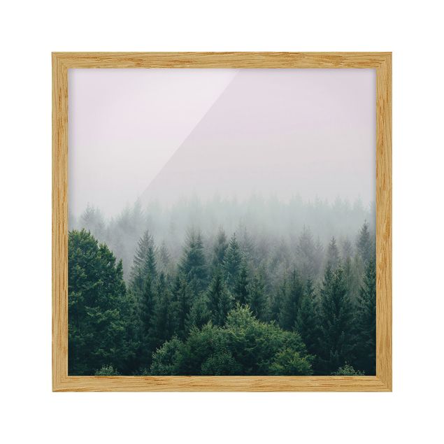 Bilder mit Rahmen Wald im Nebel Dämmerung