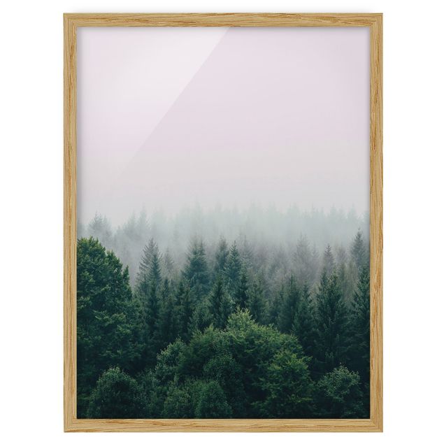 Bilder mit Rahmen Wald im Nebel Dämmerung
