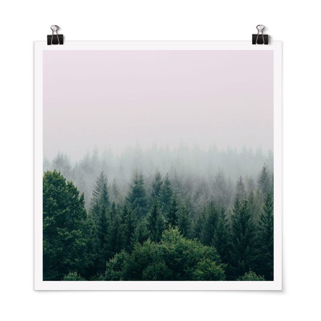 Bilder Wald im Nebel Dämmerung