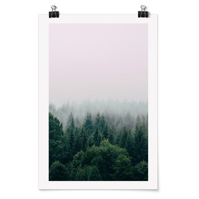 schöne Bilder Wald im Nebel Dämmerung