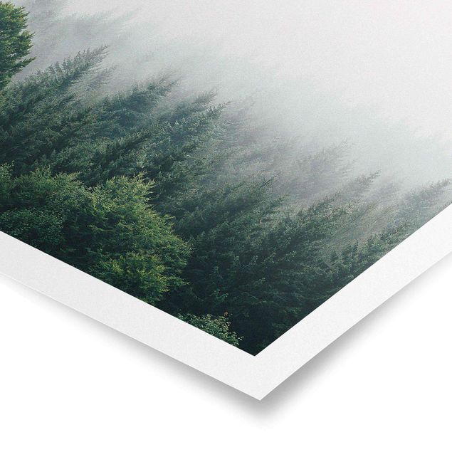 Poster Wald im Nebel Dämmerung