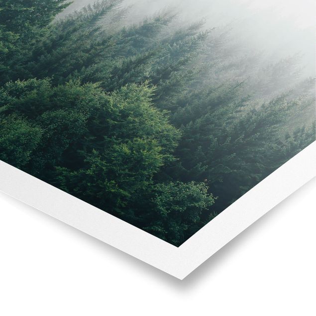 Poster - Wald im Nebel Dämmerung - Hochformat 3:4