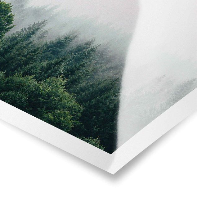 Poster - Wald im Nebel Dämmerung - Quadrat 1:1