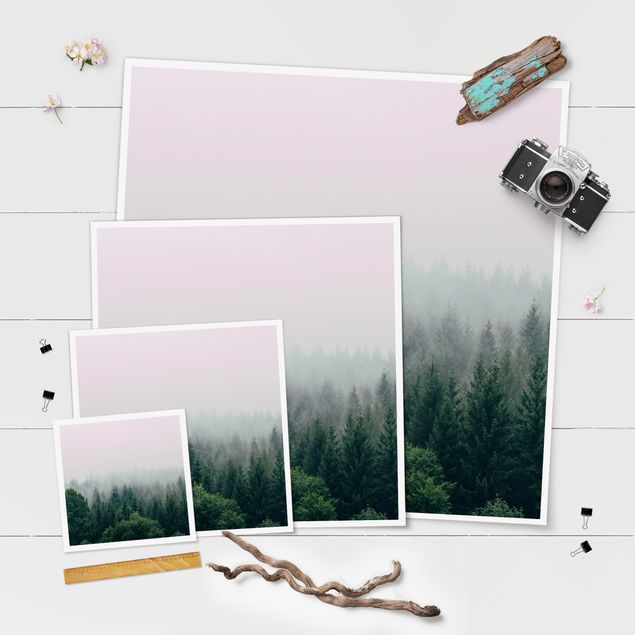 Poster - Wald im Nebel Dämmerung - Quadrat 1:1