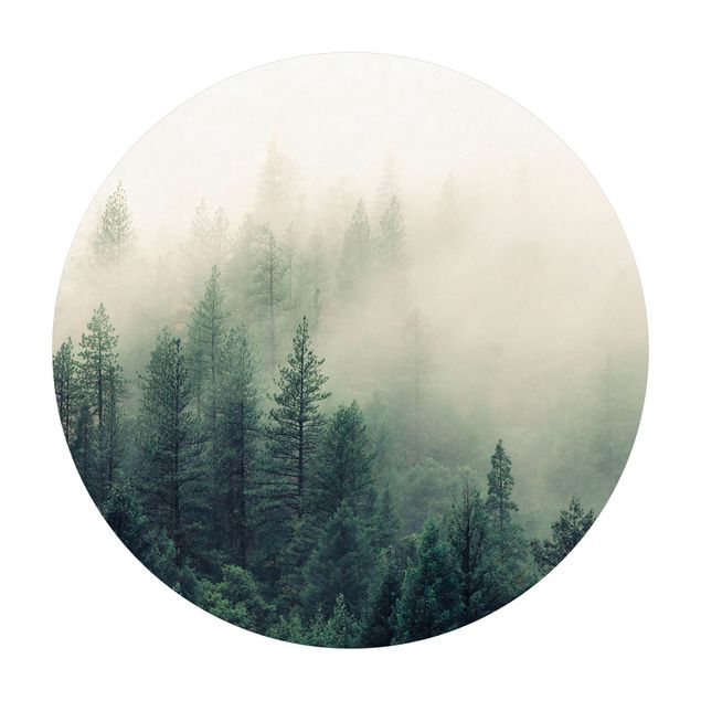 Vinyl-Teppich Wald im Nebel Erwachen