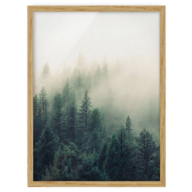 Bilder mit Rahmen Wald im Nebel Erwachen