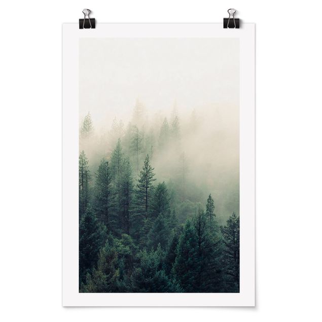 Bilder Wald im Nebel Erwachen