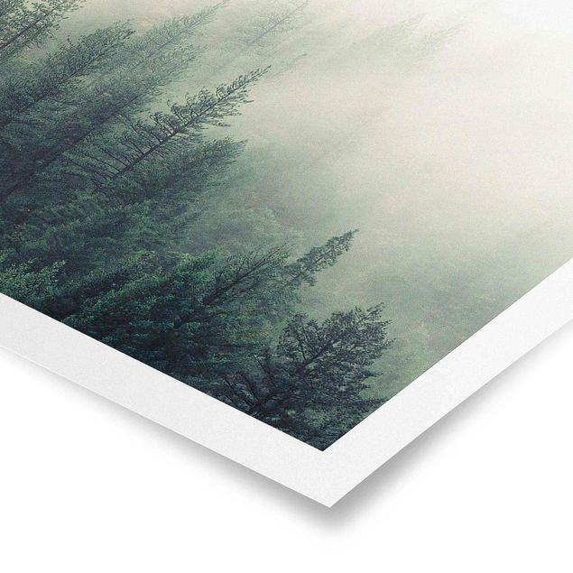 Poster - Wald im Nebel Erwachen - Quadrat 1:1