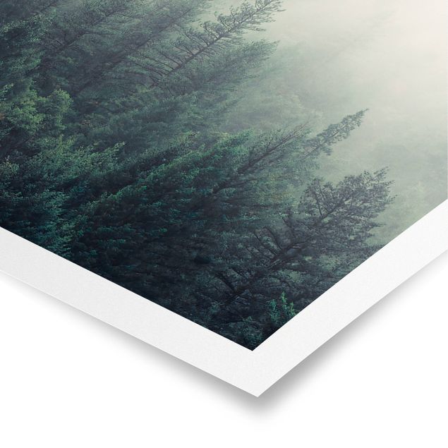 Poster - Wald im Nebel Erwachen - Hochformat 3:4