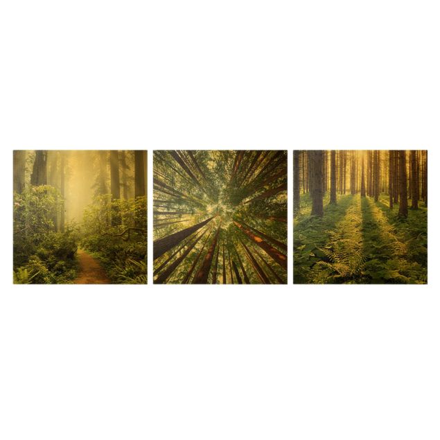 Leinwandbilder Wald Trio