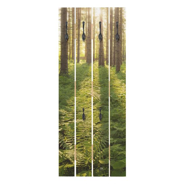 Wandgarderobe Holz - Sonnenstrahlen in grünem Wald