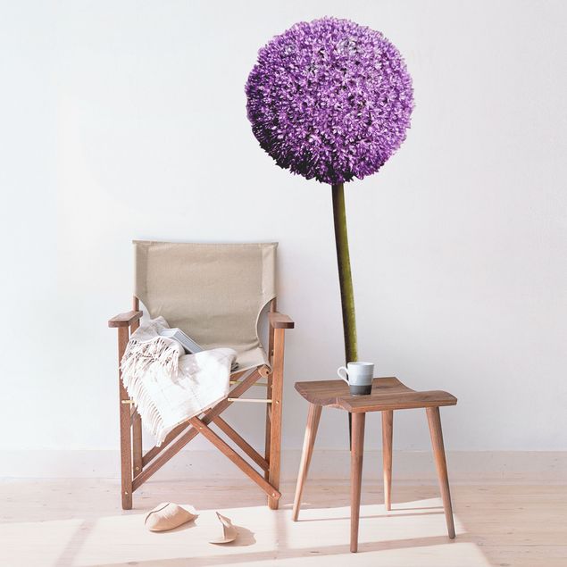 Wandtattoo Allium Kugel-Blüten 1er Set