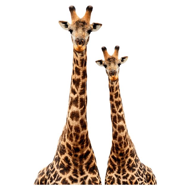 Wandtattoo Giraffe Portrait zweier Giraffen