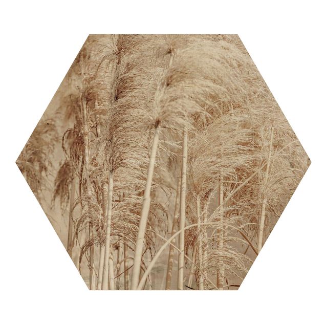 Hexagon Bild Holz - Warmes Pampasgras im Sommer