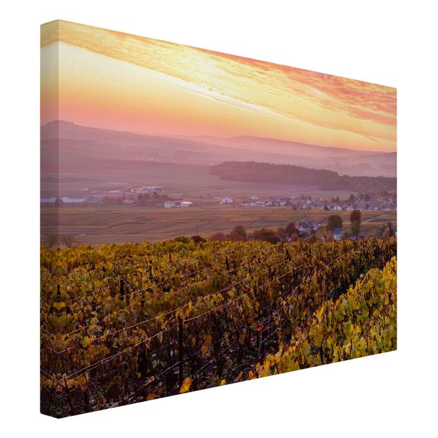 Wandbilder Weinplantage bei Sonnenuntergang