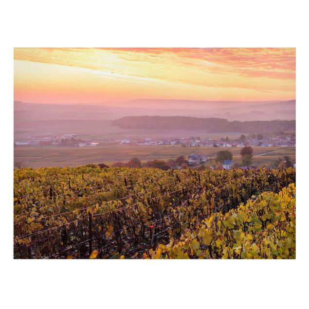 Leinwandbilder kaufen Weinplantage bei Sonnenuntergang