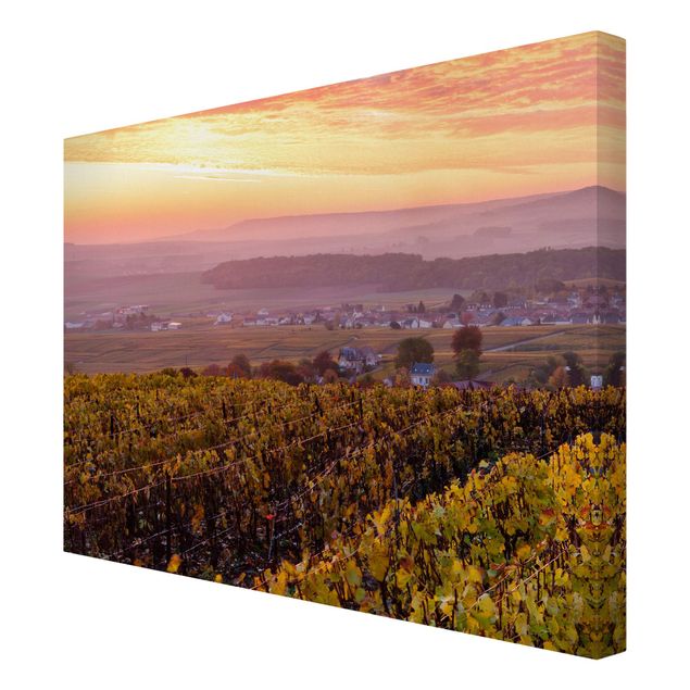 Leinwandbild - Weinplantage bei Sonnenuntergang - Querformat 4:3