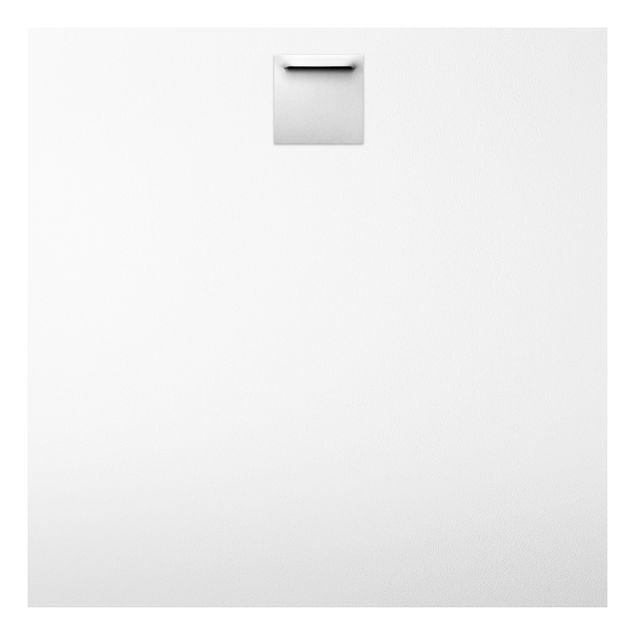 Forex Fine Art Print - Weiße Bergziege - Quadrat 1:1