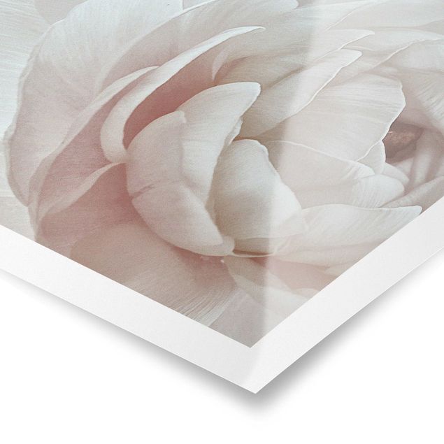 Poster Weiße Blüte im Blütenmeer