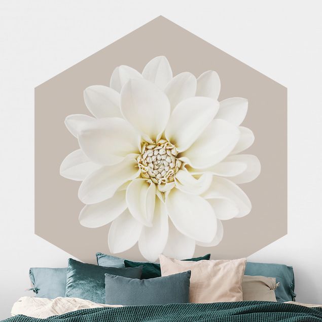 Fototapete Blumen Weiße Dahlie auf Creme