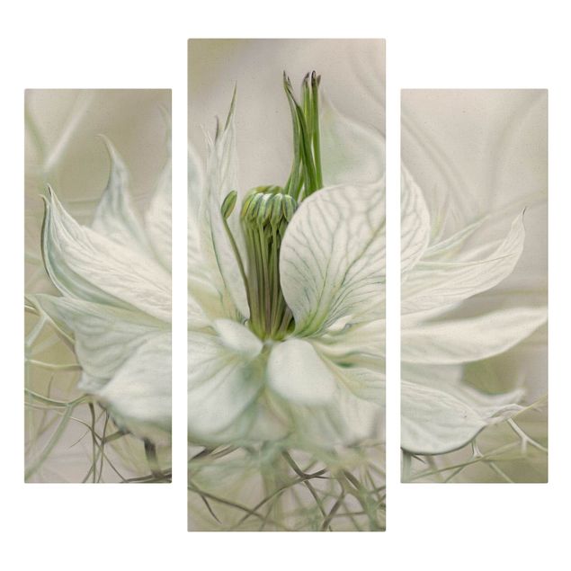 Leinwandbild 3-teilig - Weiße Nigella - Galerie Triptychon