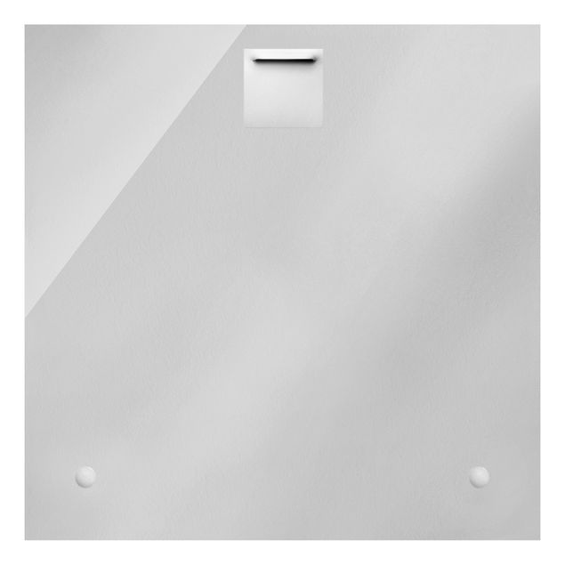 Glasbild - Weiße Nigella - Quadrat 1:1