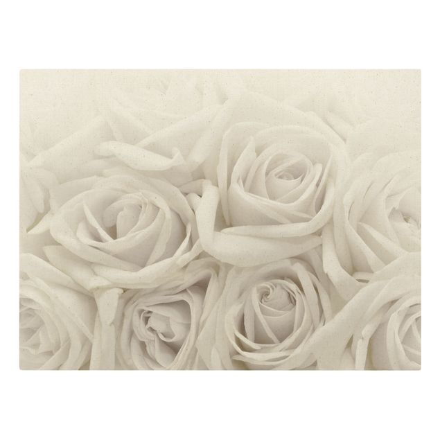 schöne Leinwandbilder Weiße Rosen