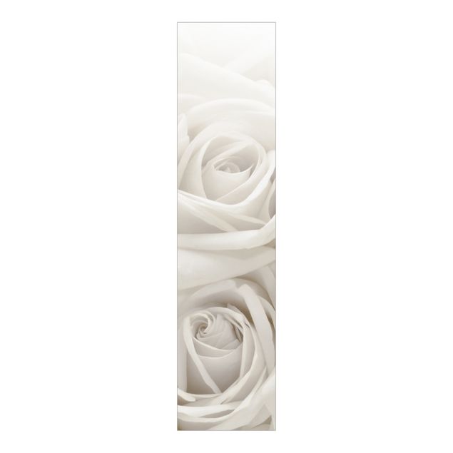 Schiebevorhänge Weiße Rosen