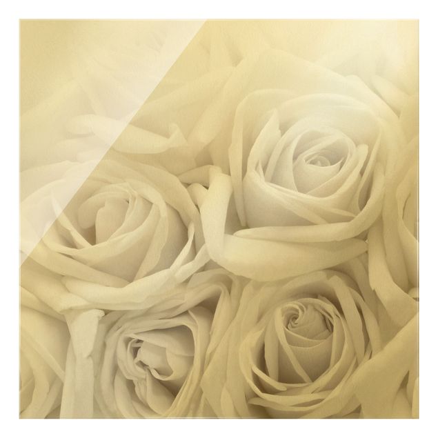 Glasbild - Weiße Rosen - Quadrat 1:1