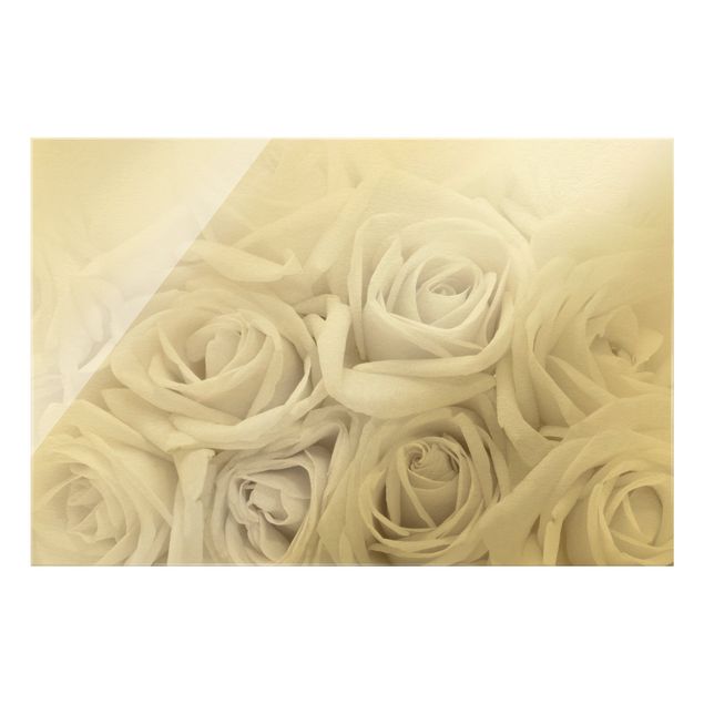 Glasbild - Weiße Rosen - Querformat 3:2