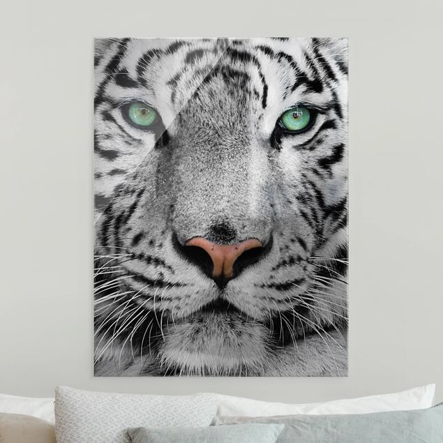 Glasbilder Schwarz-Weiß Weißer Tiger