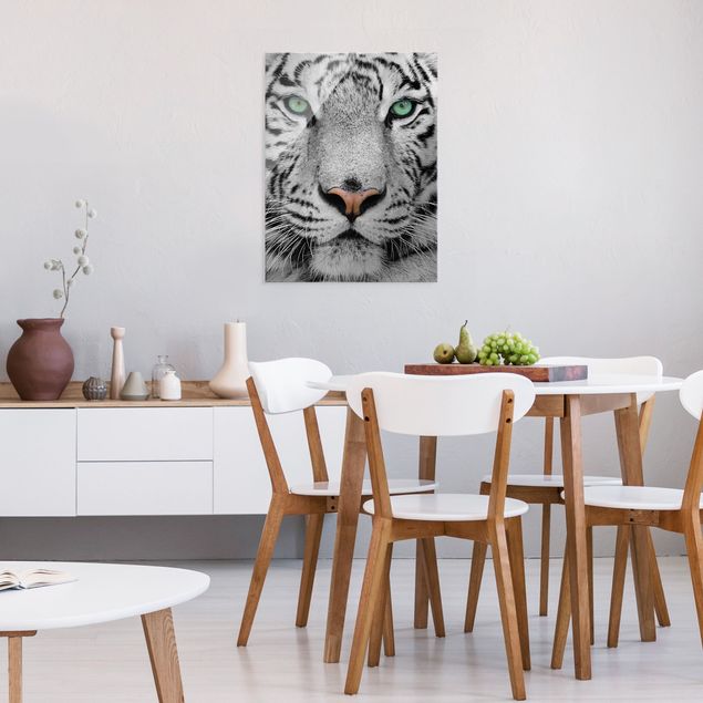 schöne Bilder Weißer Tiger