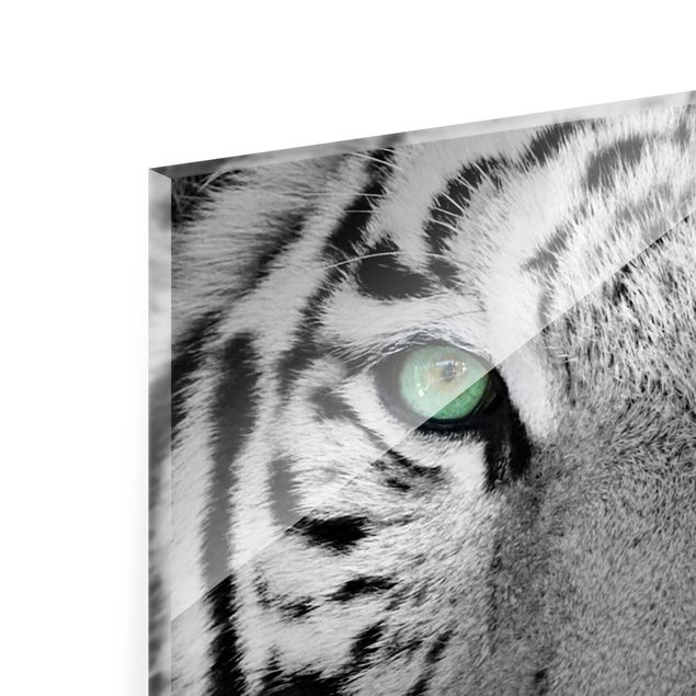 Glasbild - Weißer Tiger - Quadrat 1:1