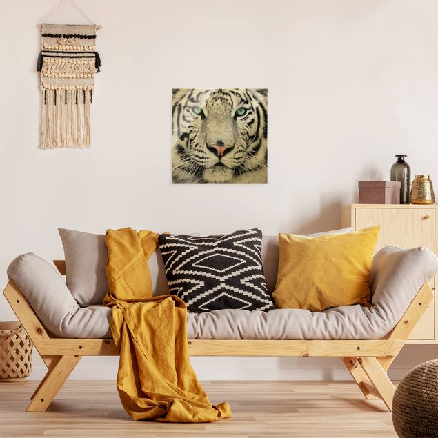 Glasbild - Weißer Tiger - Quadrat 1:1