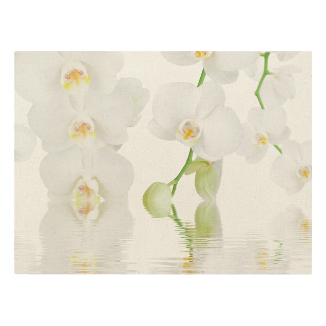 Leinwandbild Natur - Wellness Orchidee - Weiße Orchidee - Querformat 4:3