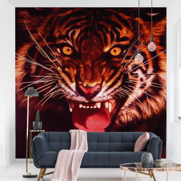 Fototapete selbstklebend Wilder Tiger