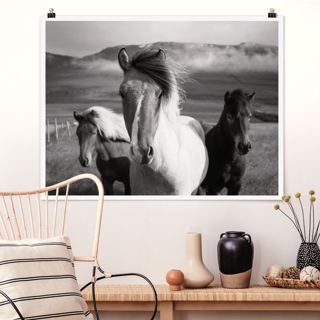 Poster Pferde Wildpferde Schwarz-Weiß