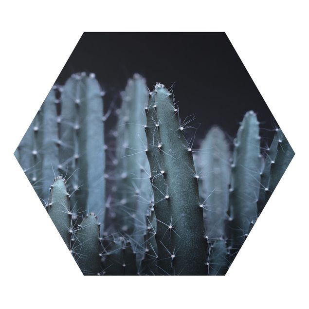 Hexagon Bild Alu-Dibond - Wüstenkaktus bei Nacht