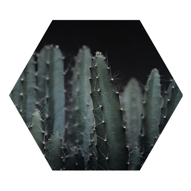 Hexagon Bild Holz - Wüstenkaktus bei Nacht