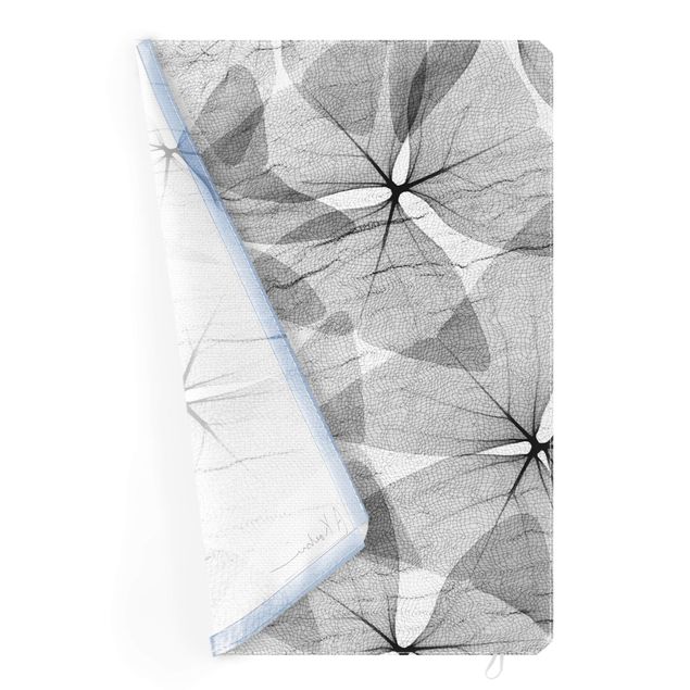 Akustik-Wechselbild - X-Ray - Dreiecksklee mit Textil