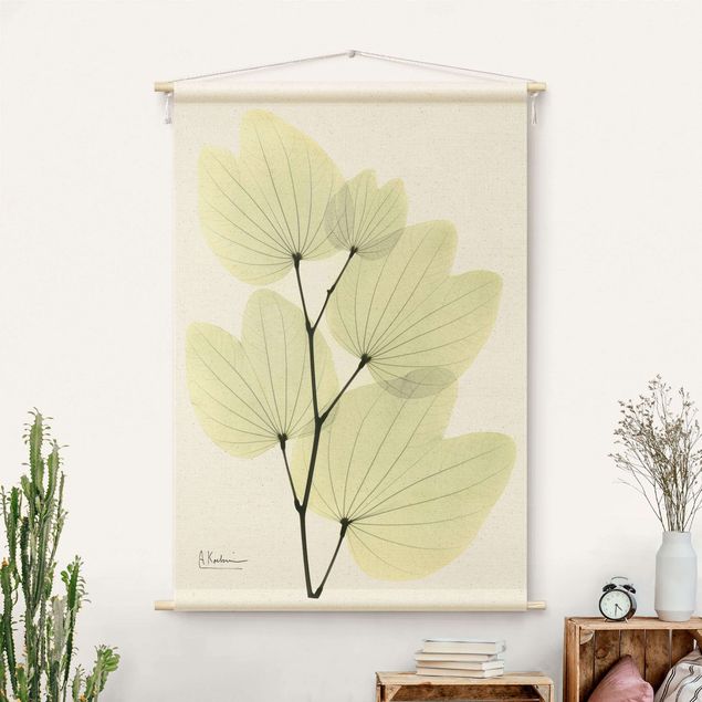 Wandbehang modern X-Ray - Orchideenbaumblätter